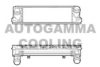AUTOGAMMA 107299 Intercooler, charger